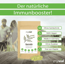 Vegan Quercetin 120 Kapseln von myvial, Nahrungsergänzung mit 400mg Quercetin in weißen Kapseln auf weißem Hintergrund
