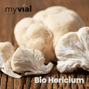 Bio Hericium Nahrungsergänzung in 120 Kapseln von myvial, natürliche Pilz-Kapseln gegen Vitalität und Gesundheit