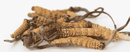 Vegan Bio Cordyceps Kapseln von myvial, 120 Stück, 1000 mg Vitalpilze Nahrungsergänzung in einer weißen Kapsel.