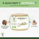 Ein zylindrischer behälter biooptimal artemisia bio mit beigem deckel und grünen botanischen motiven für muskelaufbau und menstruationszyklus