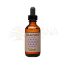 Ein schlankes bernsteinfarbenes glasfläschchen mit schwarzem verschluss von paavani ayurveda botanischer feuchtigkeitsspender für alle hauttypen mit rose und lavendel