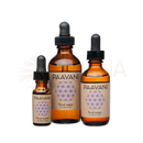 Drei bernsteinfarbene glasflaschen paavani ayurveda blütenwasser mit schwarzem gummiballon und beige etikett als botanischer feuchtigkeitsspender für rose und lavendel