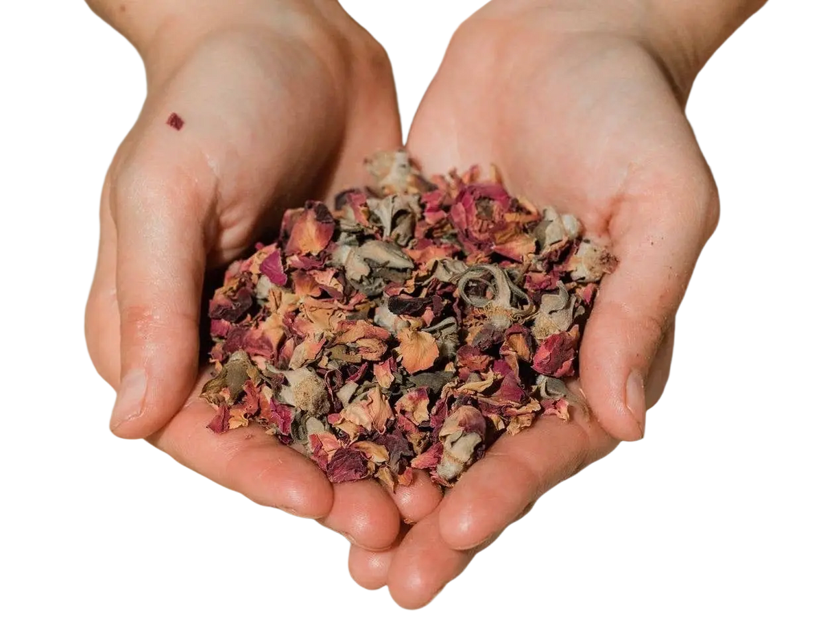 Organischer Rosenblüten-Tee von PAAVANI Ayurveda, ayurvedische Kräuterhilfe für Herzöffnung, blühende Rosenblüten in Tasse.