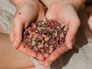 PAAVANI Ayurveda Bio-Rosenblüten-Tee mit ayurvedischer Kräuterhilfe zur Herzöffnung, natürliche Blüten und Kräuter in einer Tasse.