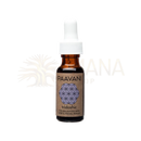 Kleine bernsteinfarbene glasflasche mit weißem tropfverschluss und paavani ayurveda tridosha serum für ausgeglichene haut