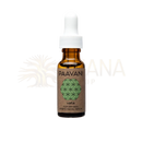 Kleine bernsteinfarbene glasflasche mit weißem tropfverschluss und braunem etikett paavani ayurveda vata serum ayurvedisches gesichtsöl für trockene haut