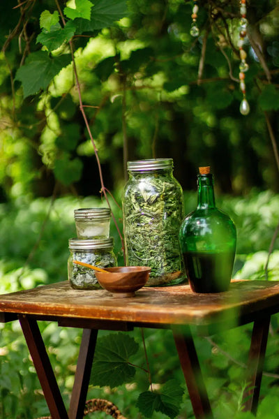 Gläser und eine grüne Flasche mit Kräutern auf einem Holztisch im Wald.
