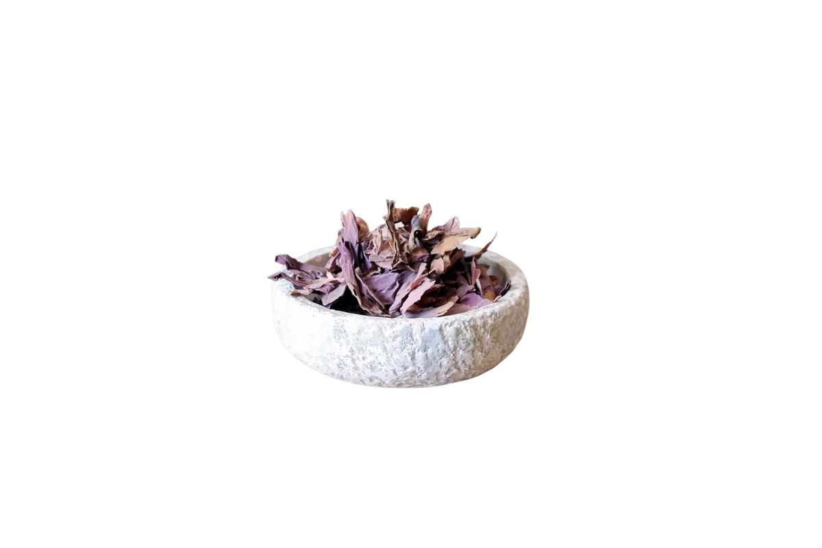 Getrocknete pinke Lotusblüten (Nelumbo Nucifera) aus Thailand, Heilkräuter, 15 g, für Tees und Naturheilmittel, von Ayamani Naturals