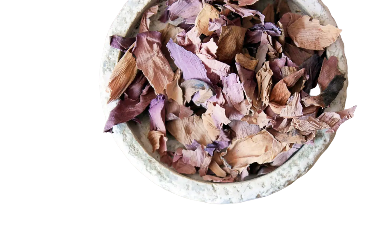 Getrocknete pinke Lotusblüten (Nelumbo Nucifera) aus Thailand, Heilkräuter für Tees und Naturheilkunde, 15 g, von Ayamani Naturals