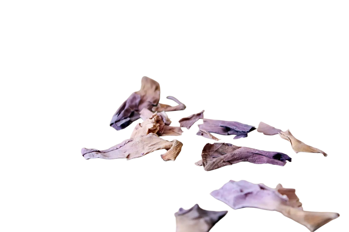 Getrocknete Heilkräuterblüten Nelumbo Nucifera, pinke Lotusblüten aus Thailand, 15 g, Einzelkräuter von Ayamani Naturals