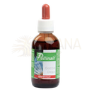 Braune glasflasche mit weißem verschluss und rotem tropfer pollinair tropfen hilft bei pollenallergie mit ribes nigrum und ginkgo biloba