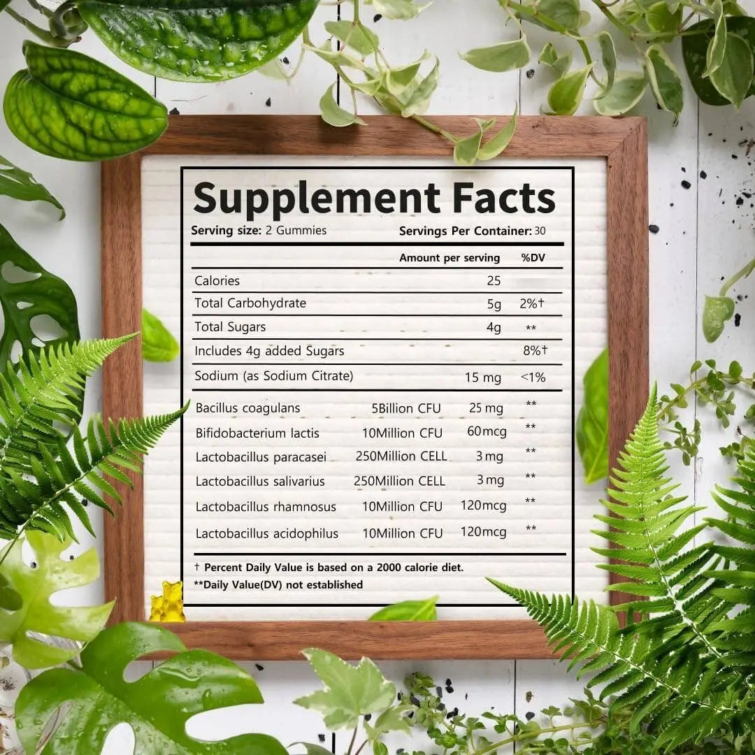 Probiotische Gummibärchen von HARMONIFY mit 5 Milliarden CFU, natürlicher Orangengeschmack, Nahrungsergänzung, 1000 mg Probiotika