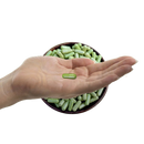 Eine hand hält eine grüne vegane kapsel vor einer schwarzen schale mit bio moringa kapseln von prowise healthcare