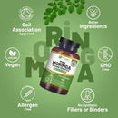Braune glasflasche mit schwarzem verschluss und grünem label von prowise healthcare mit veganen kapseln bio moringa organic