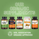 Fünf flaschen organic moringa vegane kapseln von prowise healthcare mit grünen und orangen etiketten