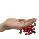 Eine weiße, ovale cranberry-kapsel von prowise healthcare frauen flora mit 20 milliarden cfu in einer offenen hand