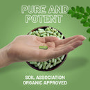 Bio Moringa Kapseln von Prowise Healthcare, vegane Nahrungsergänzung mit 2000 mg Moringa Blattpulver, 120 Kapseln
