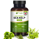 Prowise Healthcare Meeresalgen Nahrungsergänzung, 2000 mg, 200 vegane Tabletten, natürliche Jodquelle, gesundheitsfördernd