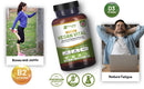 Vegane Vital Multivitamine von Prowise Healthcare in 120 Kapseln, Nahrungsergänzung für gesunde Vitalität und Nährstoffversorgung