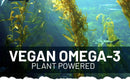 Prowise vegan omega-3 dha aus algenöl 60 weichkapseln mit vegan omega-3 fett-säuren vor kelpwald und fischen