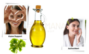 Eine klare glasflasche mit korkverschluss und henkel gefüllt mit golden-gelbem vegan omega-3 fett-säuren öl