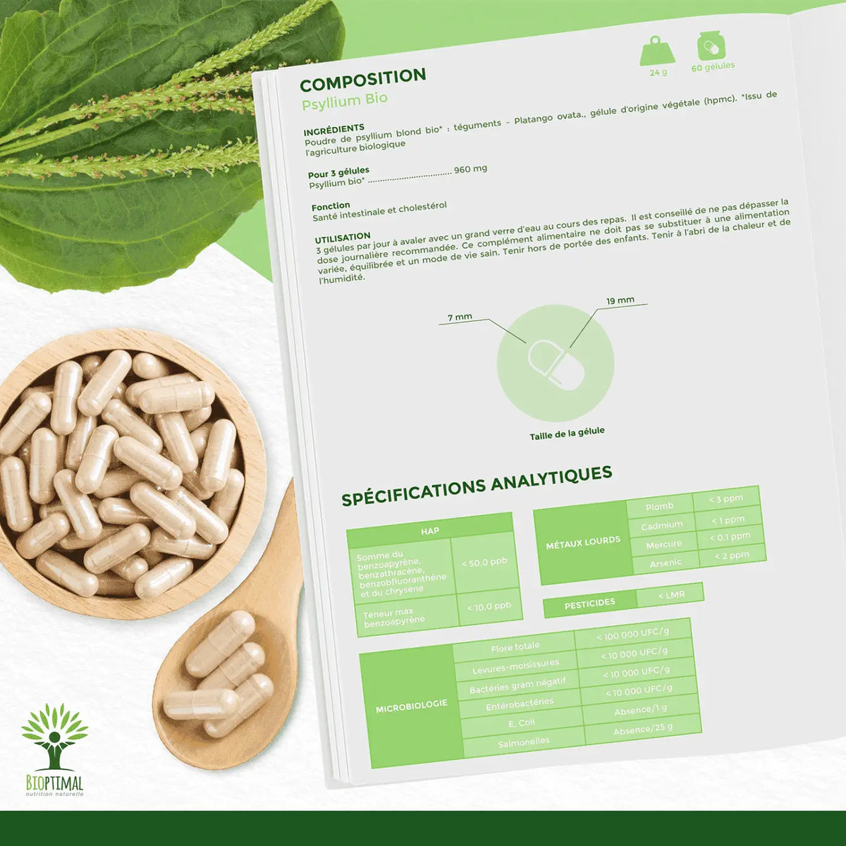 Beige, transluzente gelatinekapseln mit unserem psyllium bio pulver für digestion und cholesterinregulation
