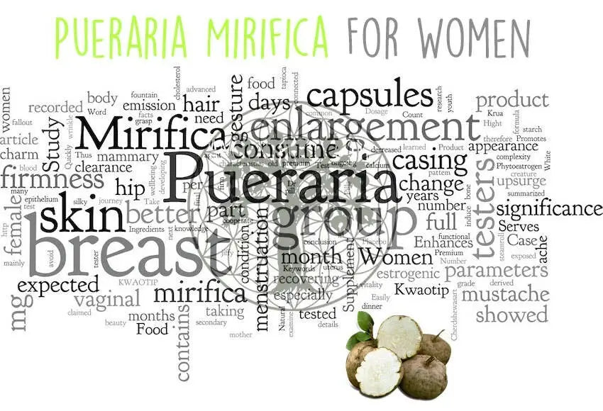 Ancient Purity Pueraria Mirifica Nahrungsergänzung mit 120 Kapseln für Hormonbalance und weibliche Vitalität, Nahaufnahme der Kapseln