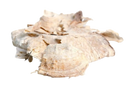 Trockene, hellbeige und bräunliche fischhaut mit rauer, faseriger struktur für pueraria mirifica kapseln zur hormonbalance und weiblichen ausstrahlung