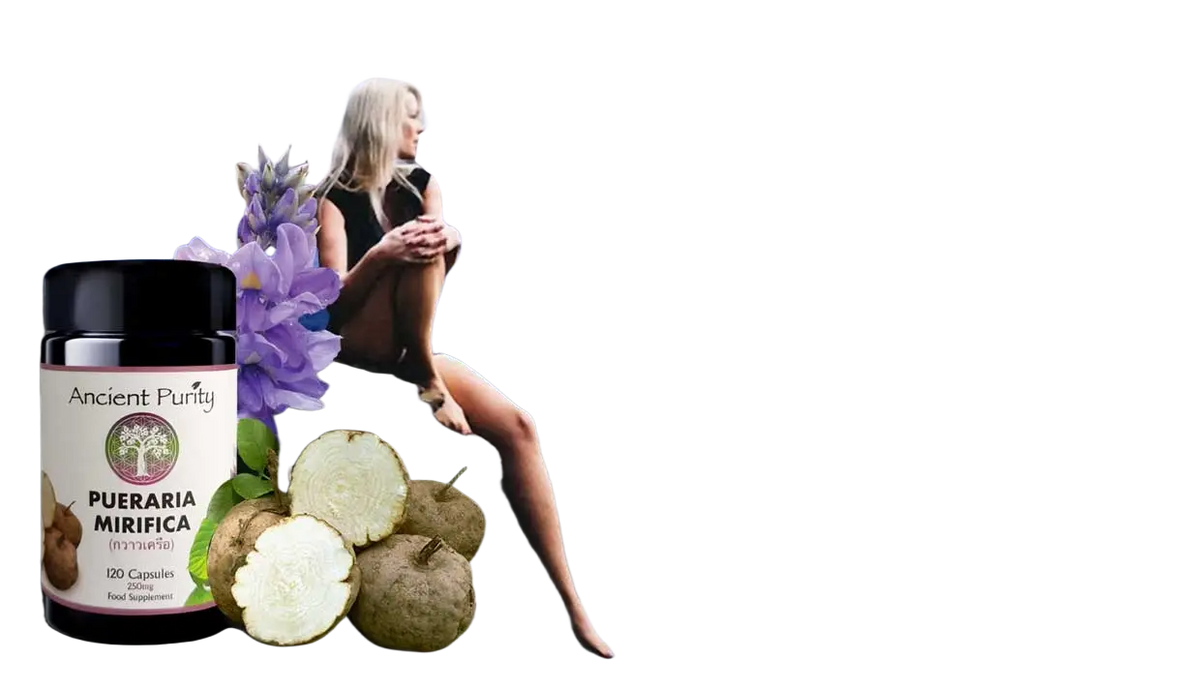 Ancient Purity Pueraria Mirifica Nahrungsergänzung mit 120 Kapseln für Hormonbalance und weibliche Vitalität, Nahaufnahme der Kapseln