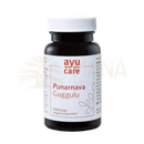 Dunkelbraune glasflasche mit weißem schraubverschluss und ayu care label für punarnava guggulu mit ashoka bark nutzen