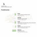 Räucherstäbchen frankincense 10 stk mit naturellem harzduftprofil von flowers of india pine und frankincense noter