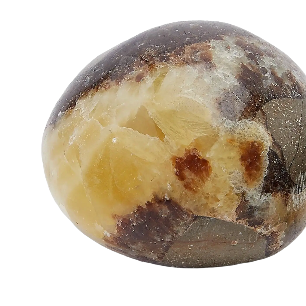Septaria „Anchorage“ Rollstein von KARMA YOGA SHOP, ein Stein zur Erdung und Harmonie, mit natürlichen Mustern und warmen Farben.