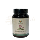 Dunkle glasflasche mit schwarzem verschluss und weißem etiket mit pinken blumenillustrationen shankhpushpi ayurveda pflanzliche kapseln traditionelle ayurvedische kräuter convolvulus pluricaulis
