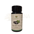 Schwarze plastikflasche mit weißem etikett und grünem akzent von ayurveda specialist shilajit plus mit ashwagandha powder