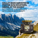 Hochwertiges SiberianGreen Golden Mountains Shilajit-Harz, reines Nahrungsergänzungsmittel mit goldener Farbe, in Glasbehälter.