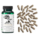 SiberianGreen Shilajit & Chaga Kapseln Nahrungsergänzung, natürliche Immun- und Energiebooster in Kapselform