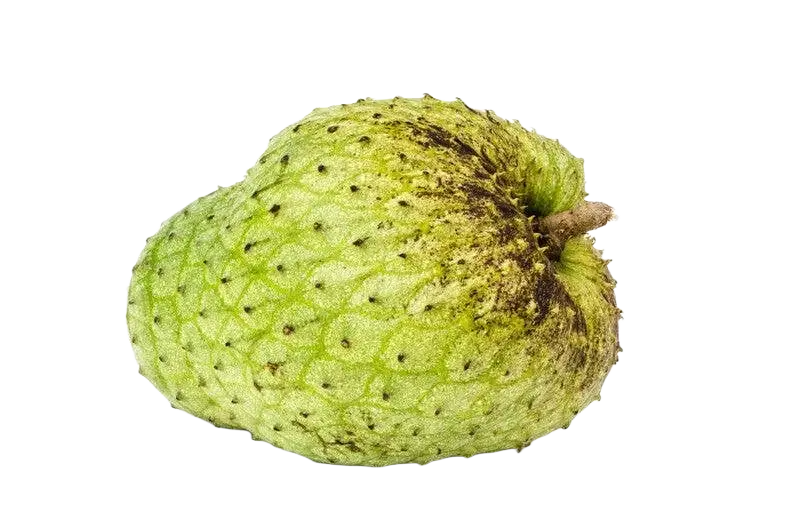 Ancient Purity Stachelannone Soursop Graviola Pulver, 200g, Nahrungsergänzung mit Acetogeninen, feines grünliches Pulver