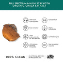 Hochdosierte Chaga-Pilz-Kapseln von Together Health, 9450 mg, Nahrungsergänzung, 60 Kapseln, natürliche Heilpilz-Extrakte
