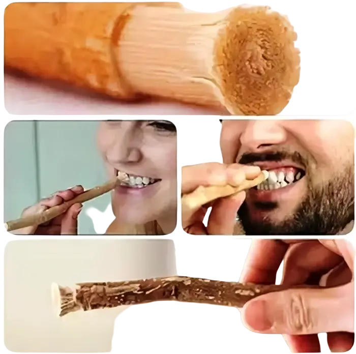 Unicorn® Miswak Zahnpflegeholz für natürliche Mund- und Zahnpflege, Spa Vivent, handgefertigtes Zähnepflegestick, umweltfreundlich