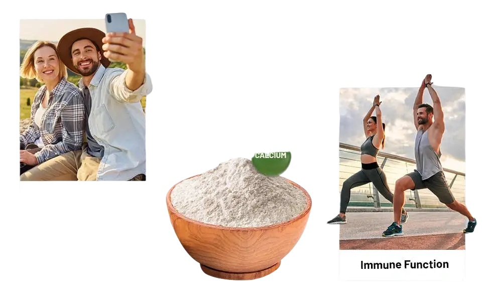 Vegane Vital Multivitamine in 120 Kapseln von Prowise Healthcare, Nahrungsergänzungsmittel mit buntem Vitaminmix
