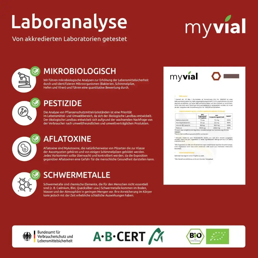 Myvial Vitamin B12 Tropfen mit Folsäure, fördert Energie, Nerven und Blutbildung, Nahrungsergänzung in Flasche mit Tropfen.