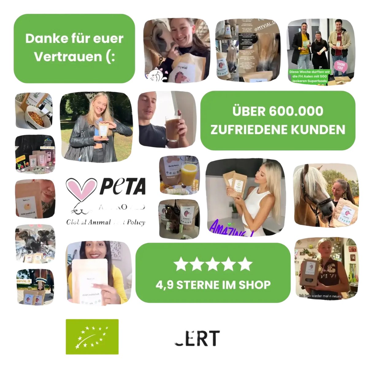 Vitamin B12 und Folsäure Nahrungsergänzung in Tropfenform von myvial für Energie, Nerven und Blutbildung.