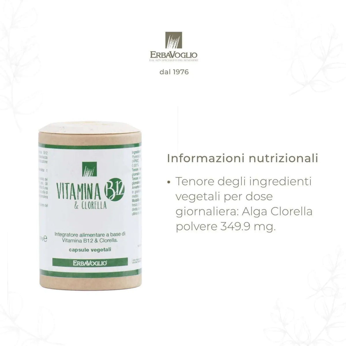 Erbavoglio Vitamin B12 und Chlorella Kapseln, 60 Stück, Nahrungsergänzung gegen Müdigkeit, für Stoffwechsel und Entgiftung