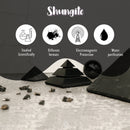 Schwarzer shungit pyramide mit glatter, polierter oberfläche und geometrischen facetten als shungit schlüsselanhänger baum des lebens von vives de la cortada sl