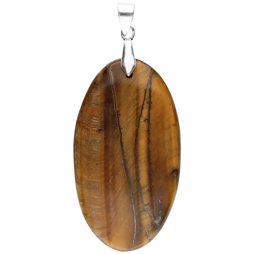 Runder Tigerauge Cabochon Anhänger aus Schmuck von Vives de la Cortada S.L, detailreiche Edelstein-Design