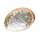 Abalone-Schale Räucherschale von Vives de la Cortada SCP, 9 x 7 cm, aus Räucherwaren, detailreiche natürliche Abbildung