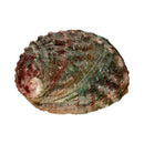 Abalone-Schale von Vives de la Cortada SCP, Räucherschale, 9 x 7 cm, aus Räucherwaren, mit schimmernder Abalone-Optik.