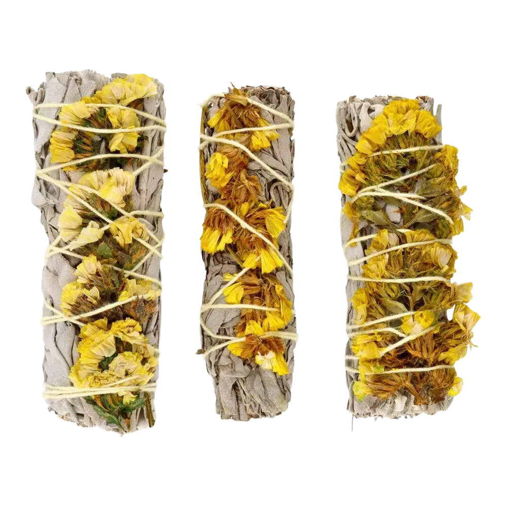 Weißer Salbei mit gelben Sinuaten, handgewebte Räucherwaren von Vives de la Cortada SCP, in einer natürlichen Umgebung.
