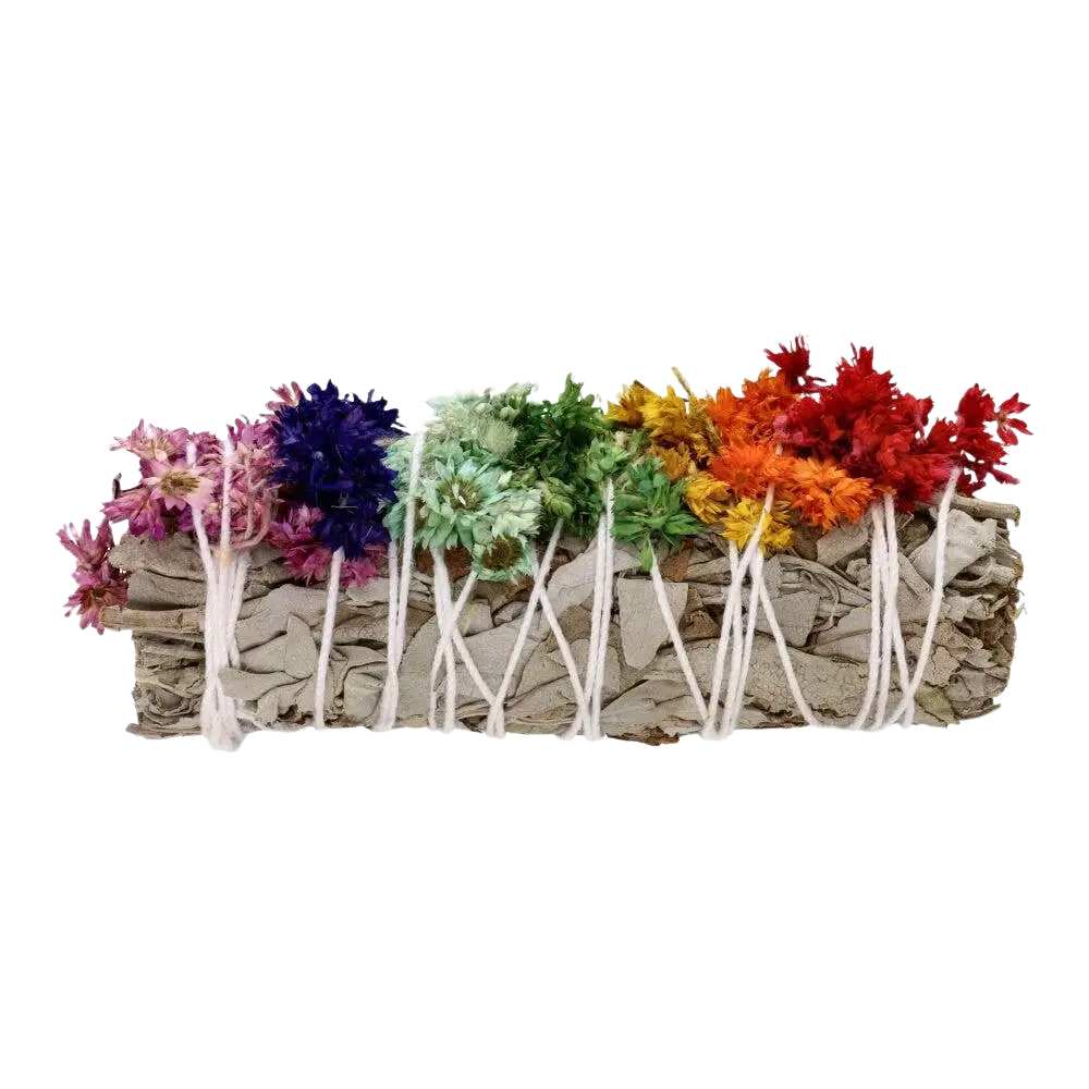 Weißer Salbei mit Verbasco, Räucherwaren von Vives de la Cortada SCP, mit regenbogenfarbigen Akzenten auf weißem Hintergrund
