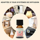 Ätherische Öl-Synergie Sensualität von Zen'Arôme in 10 ml Flasche, ideal für Diffusor und aromatherapeutische Anwendungen